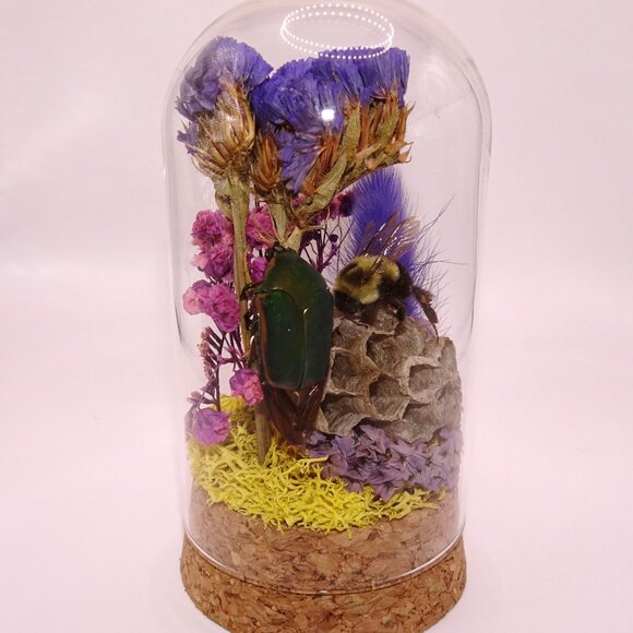 June Bug Carpenter Bee & Wasp Nest Oddity Jar taxidermy curiosity goth witchy - Picture 12 of 12